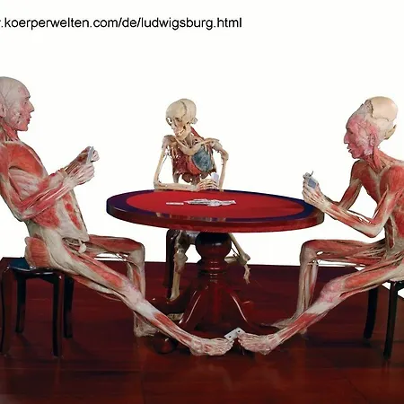 Nestor Stuttgart-ludwigsburg Ludwigsburg