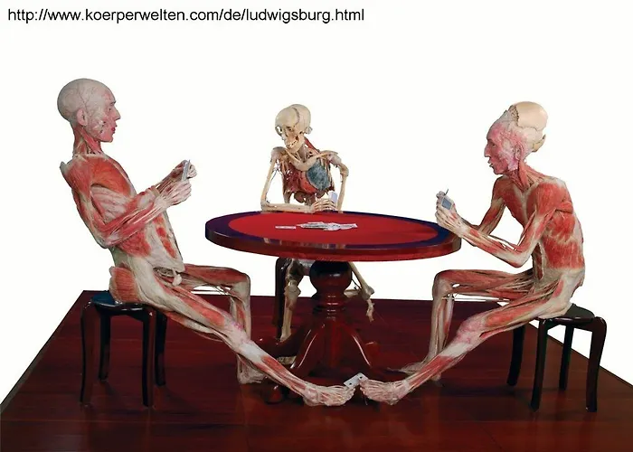 Nestor Stuttgart-ludwigsburg Ludwigsburg